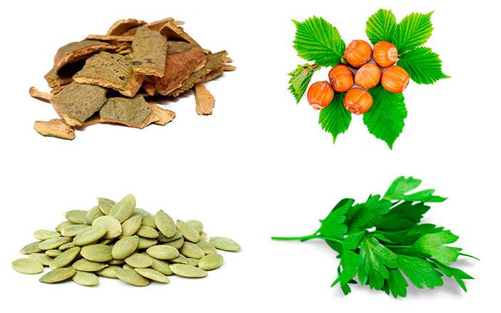 Ľudové lieky na boj proti prostatitíde - kôra osiky, tekvicové semienka, petržlen a lieskové orechy